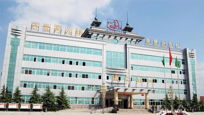 輔仁藥業集團有限公司